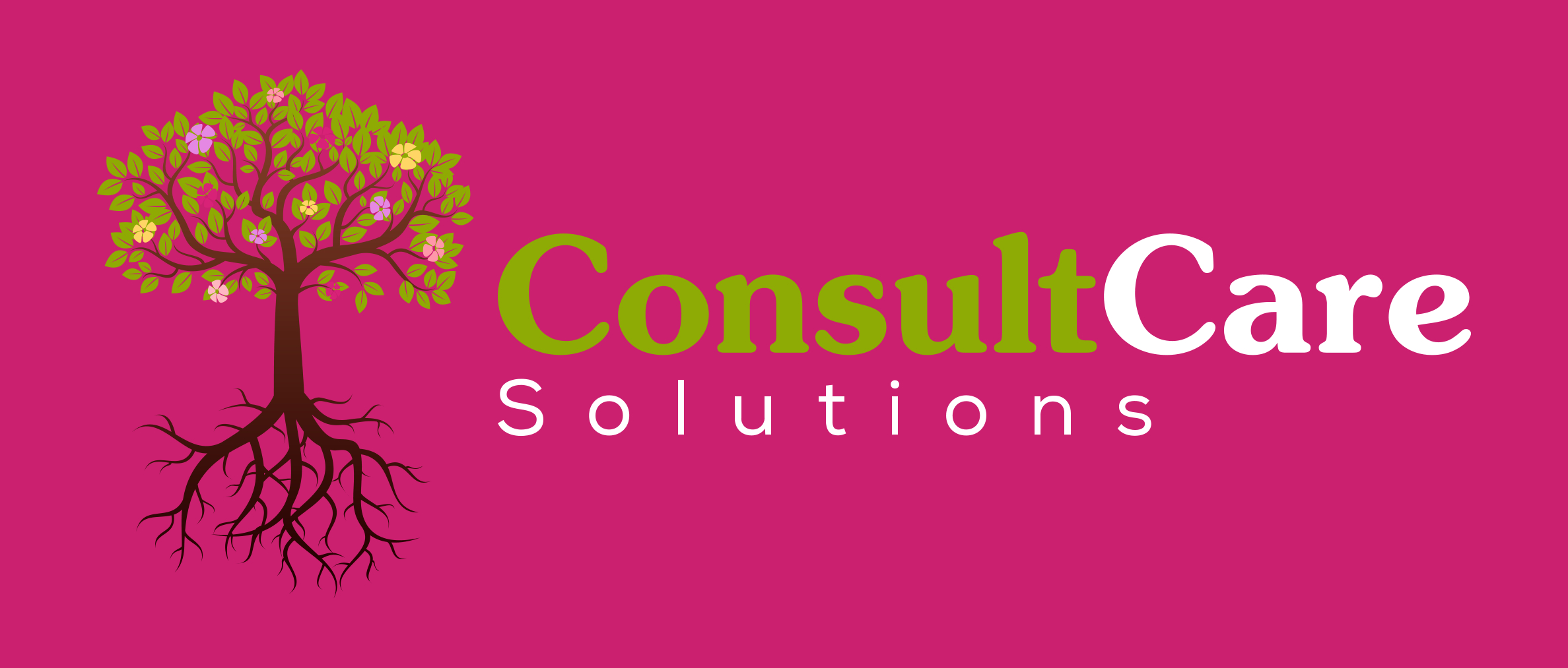 ConsultCare Solutions